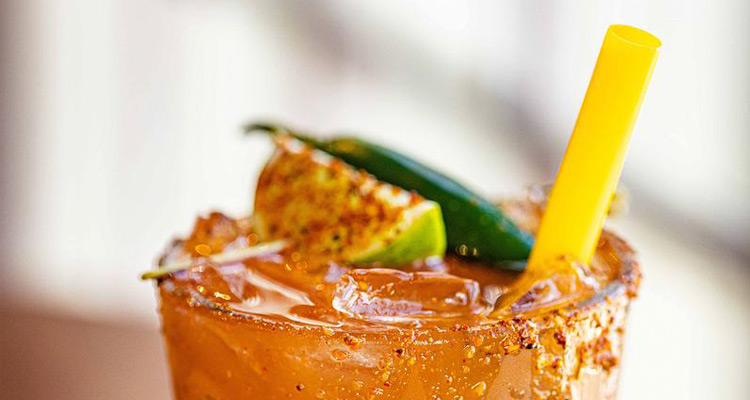 Modelo Michelada